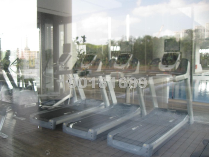 Centro Residences (D20), Condominium #787152